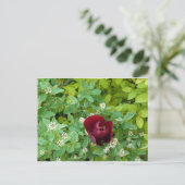 bloemenland in het voorjaar briefkaart (Staand voorkant)