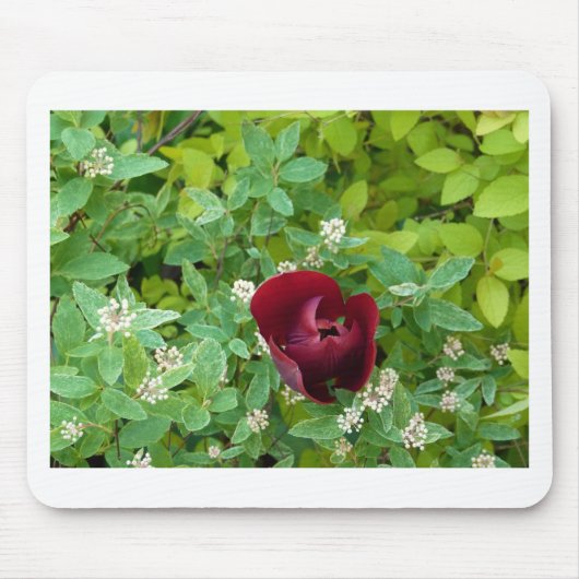 bloemenland in het voorjaar muismat (Voorkant)