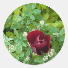 bloemenland in het voorjaar ronde sticker