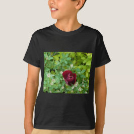 bloemenland in het voorjaar t-shirt