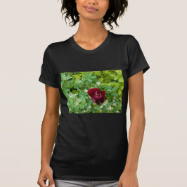 bloemenland in het voorjaar t-shirt