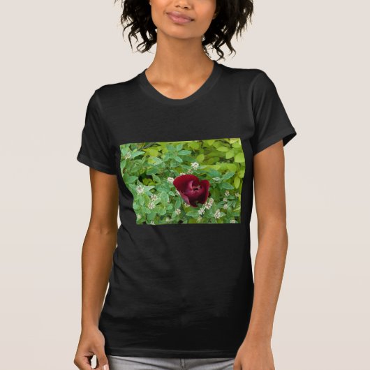 bloemenland in het voorjaar t-shirt (Voorkant)