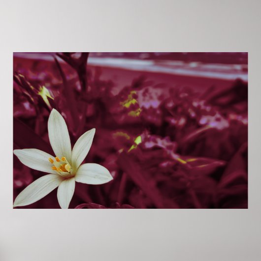Bloemenlandschap kunst van de oceaan poster (Voorkant)