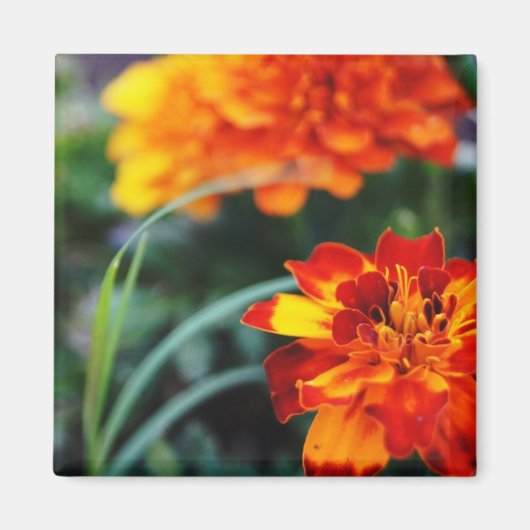 bloemenmagnant magneet (Voorkant)