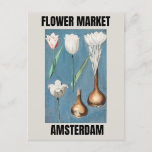 Bloemenmarkt Amsterdam Vintage Tulp Briefkaart