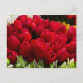 Bloemenmarkt Bloemen Briefkaart (Voorkant)