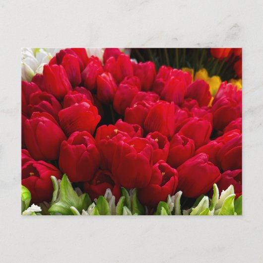 Bloemenmarkt Bloemen Briefkaart (Voorkant)