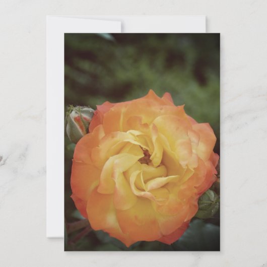 Bloemenmeisje Bedankt Uitnodiging Kaart (Achterkant)