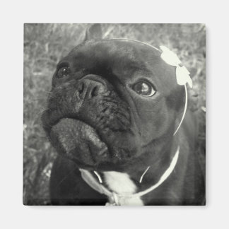 Bloemenmeisje Magnet