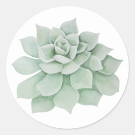 Bloemenmunt Groene Succulente Cactus Ronde Sticker
