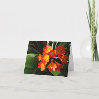 Bloemennotecardcollectie van New England Kaart