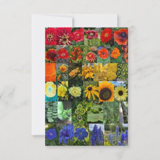 Bloemenregenboog notitiekaartje (Voorkant)