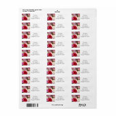 bloemenroze en rood retouradres etiket (Full Sheet)