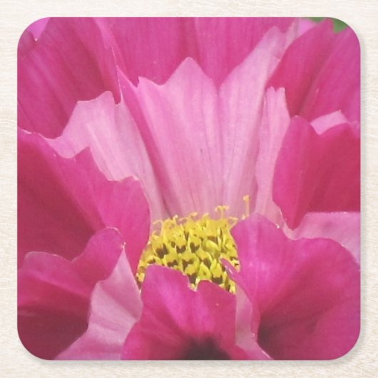 Bloemenschotel met tinten roze kartonnen onderzetters (Voorkant)