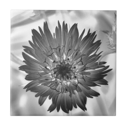 bloemenstraal tegeltje (Voorkant)