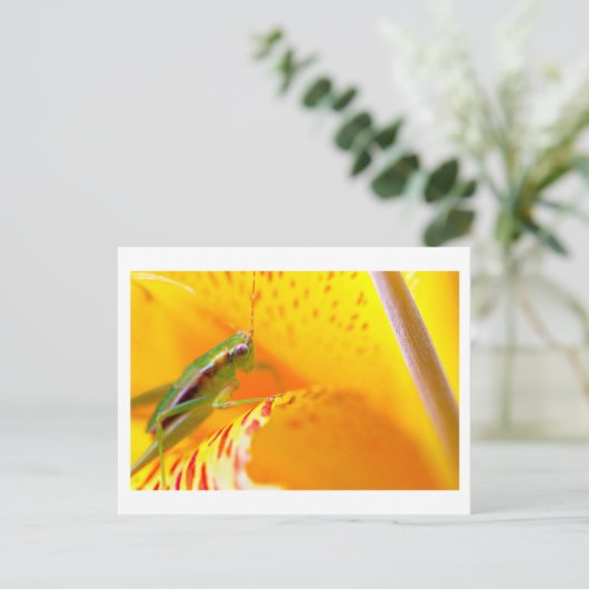 bloemensurfer briefkaart (Staand voorkant)