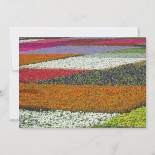 Bloementapijt Feestdagenkaart (Voorkant)
