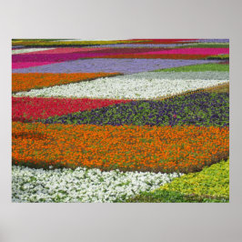 Bloementapijt Poster