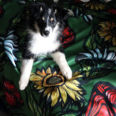 Bloementuin Bloemisten Roos Zonnebloem en Tulpen Sherpa Deken