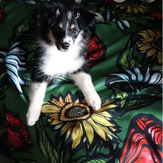 Bloementuin Bloemisten Roos Zonnebloem en Tulpen Sherpa Deken