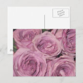 Bloementuin Briefkaart (Voorkant / Achterkant)