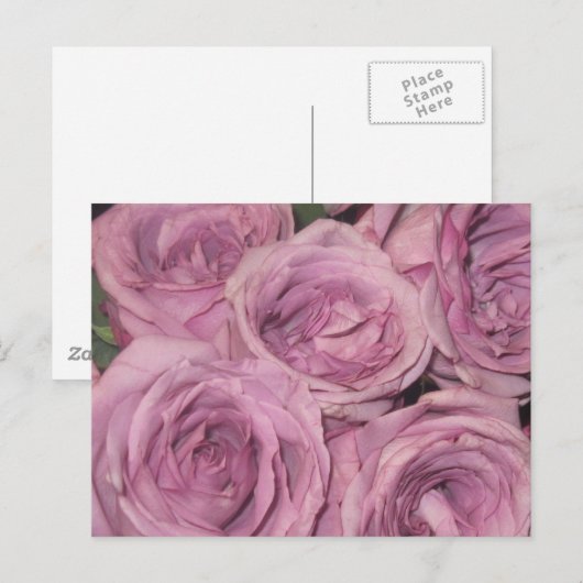Bloementuin Briefkaart (Voorkant / Achterkant)