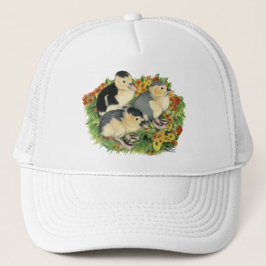 Bloementuin Eendjes Trucker Pet (Voorkant)