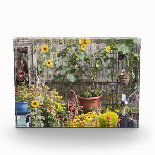 Bloementuin en smalle boot fotoblokken (Voorkant)