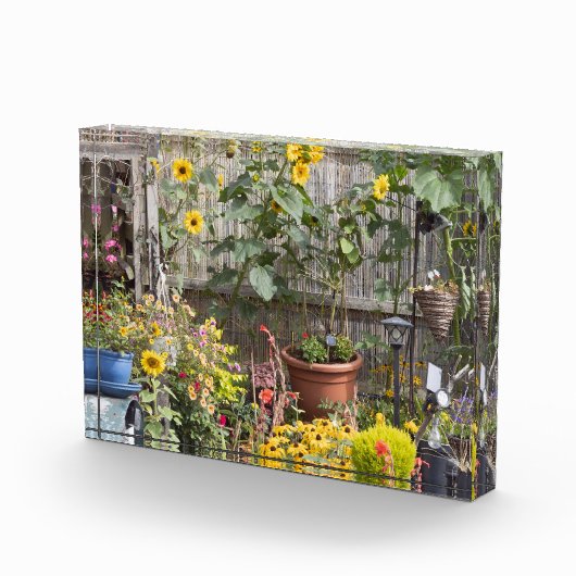 Bloementuin en smalle boot fotoblokken (Rechts)
