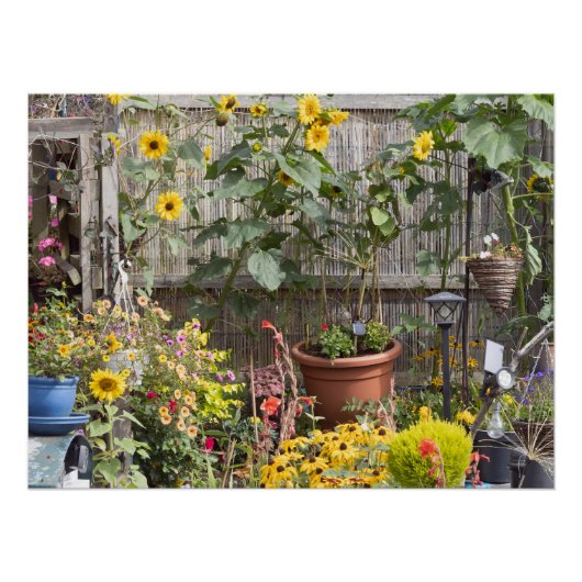 Bloementuin en smalle boot perfect poster (Voorkant)