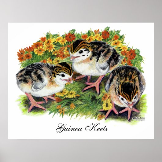 Bloementuin kuikens poster (Voorkant)