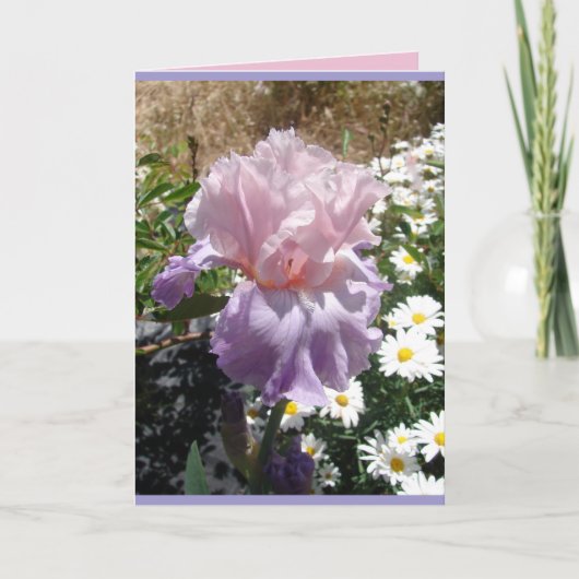 Bloementuin Paarse Iris Irissen bloemkaart Kaart (Voorkant)