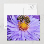 Bloementuin Park Vrede Liefde Briefkaart (Voorkant / Achterkant)