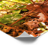 Bloementuin Roestig Wiel En Pomp Getint Poster (Hoek)