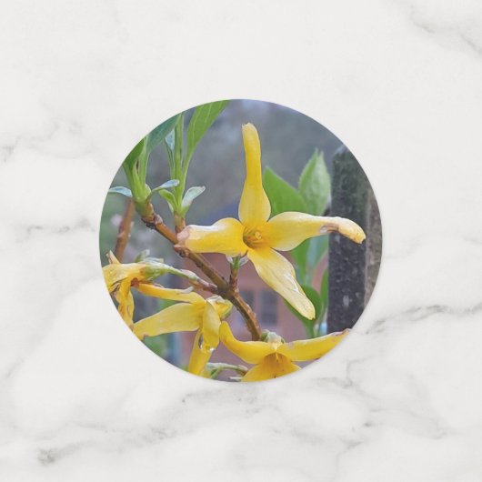 Bloementuin tafel Confetti (Kleine voorkant)