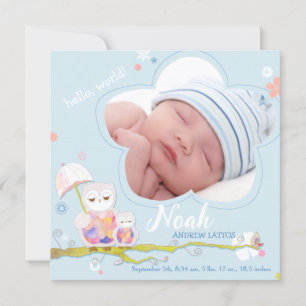 Bloemenuilen Blauwe Baby Boy Foto Geboorte Aankondiging