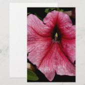 Bloemenuitbarsting Briefpapier (Voorkant / Achterkant)