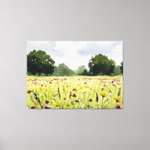 Bloemenveld