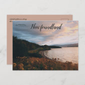 Bloemenveld langs de kustlijn van Newfoundland Briefkaart (Voorkant / Achterkant)