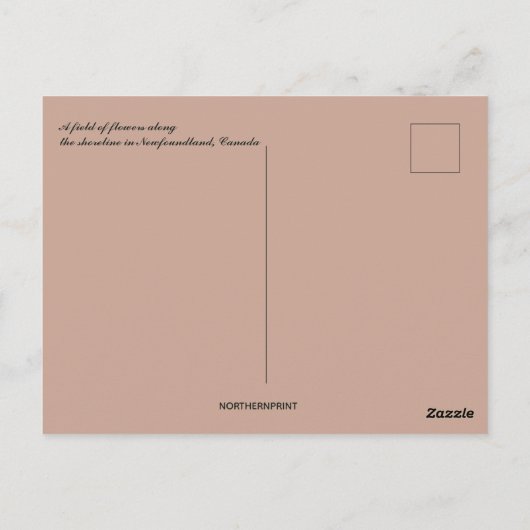Bloemenveld langs de kustlijn van Newfoundland Briefkaart (Achterkant)