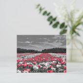 Bloemenveld minimalistische selectieve kleurenfoto briefkaart (Staand voorkant)