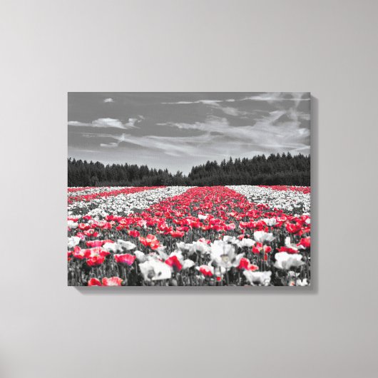 Bloemenveld minimalistische selectieve kleurenfoto canvas afdruk (Voorkant)