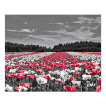 Bloemenveld minimalistische selectieve kleurenfoto