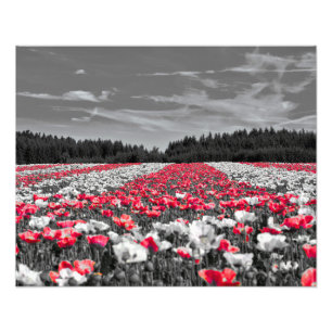 Bloemenveld minimalistische selectieve kleurenfoto foto afdruk