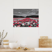 Bloemenveld minimalistische selectieve kleurenfoto poster (Keuken)