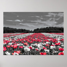 Bloemenveld minimalistische selectieve kleurenfoto poster