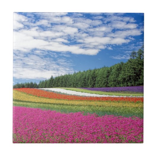 Bloemenveld Tegeltje (Voorkant)