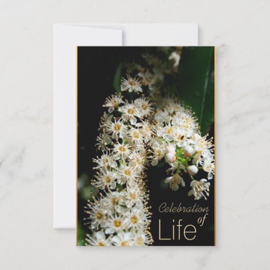 Bloemenviering van het leven 3 Uitnodiging (Voorkant)