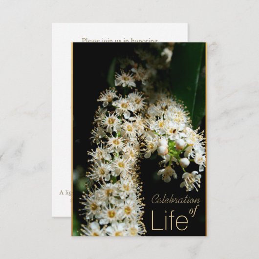 Bloemenviering van het leven 3 Uitnodiging (Voorkant / Achterkant)