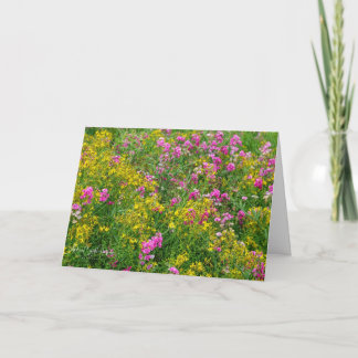 Bloemenwensenveld Kaart